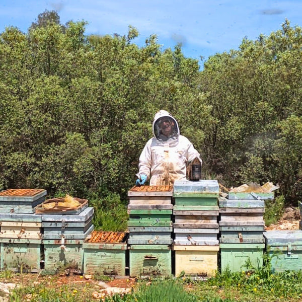 Découvrez notre producteur espagnol