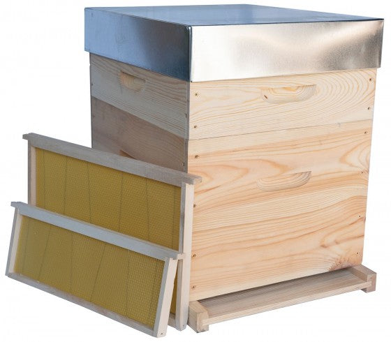 Ruche complète Dadant 10 cadres cirés